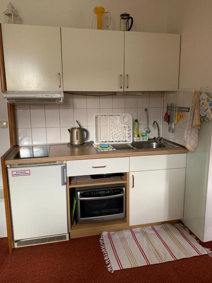 フィリップシュロイトApartman Vikiアパートメント エクステリア 写真