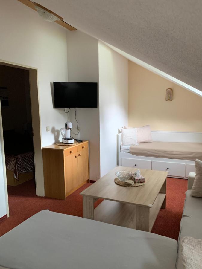 フィリップシュロイトApartman Vikiアパートメント エクステリア 写真